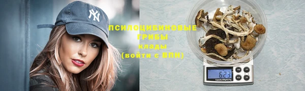 дурь Алексеевка