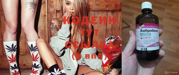 спиды Алзамай